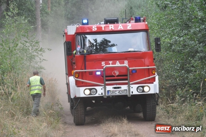 Zdjęcie w galerii na portalu naszraciborz.pl: W lasach wokół Nędzy grasuje podpalacz. Dziś doszło do kolejnego poważnego pożaru wiadomości z regionu