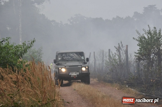Zdjęcie w galerii na portalu naszraciborz.pl: W lasach wokół Nędzy grasuje podpalacz. Dziś doszło do kolejnego poważnego pożaru wiadomości z regionu