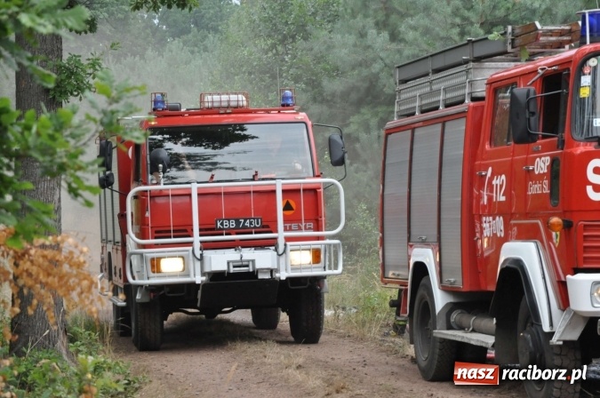 Zdjęcie w galerii na portalu naszraciborz.pl: W lasach wokół Nędzy grasuje podpalacz. Dziś doszło do kolejnego poważnego pożaru wiadomości z regionu