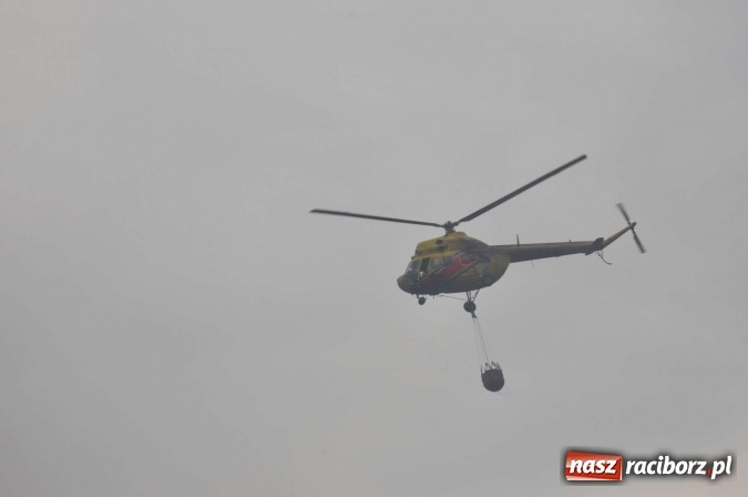 Zdjęcie w galerii na portalu naszraciborz.pl: W lasach wokół Nędzy grasuje podpalacz. Dziś doszło do kolejnego poważnego pożaru wiadomości z regionu