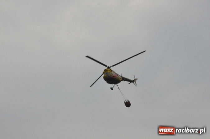 Zdjęcie w galerii na portalu naszraciborz.pl: W lasach wokół Nędzy grasuje podpalacz. Dziś doszło do kolejnego poważnego pożaru wiadomości z regionu