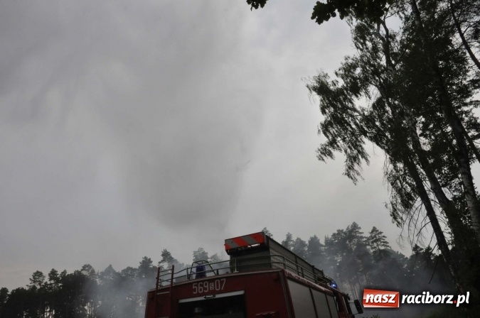 Zdjęcie w galerii na portalu naszraciborz.pl: W lasach wokół Nędzy grasuje podpalacz. Dziś doszło do kolejnego poważnego pożaru wiadomości z regionu