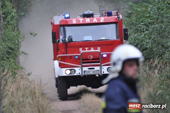 Zdjęcie w galerii na portalu naszraciborz.pl: W lasach wokół Nędzy grasuje podpalacz. Dziś doszło do kolejnego poważnego pożaru wiadomości z regionu