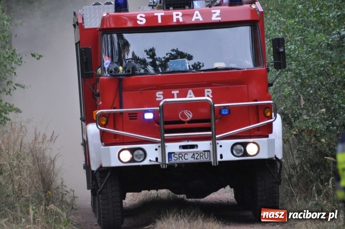 Zdjęcie w galerii na portalu naszraciborz.pl: W lasach wokół Nędzy grasuje podpalacz. Dziś doszło do kolejnego poważnego pożaru wiadomości z regionu