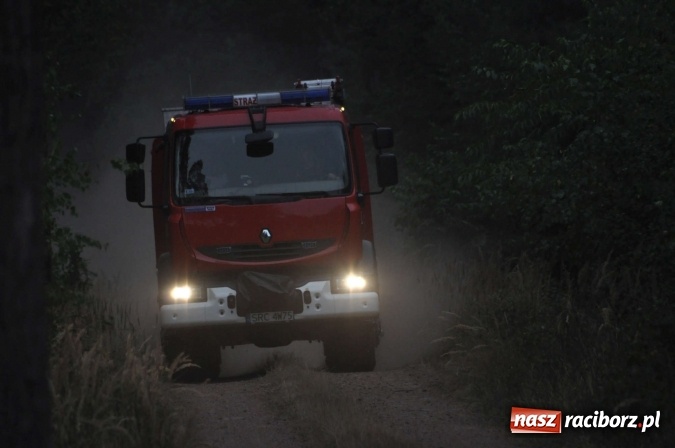 Zdjęcie w galerii na portalu naszraciborz.pl: W lasach wokół Nędzy grasuje podpalacz. Dziś doszło do kolejnego poważnego pożaru wiadomości z regionu