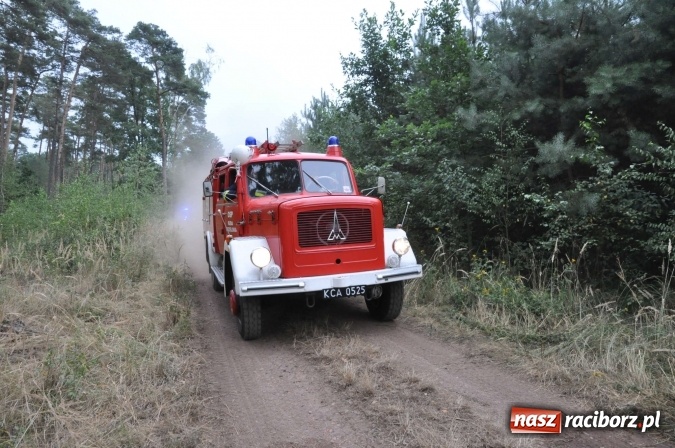 Zdjęcie w galerii na portalu naszraciborz.pl: W lasach wokół Nędzy grasuje podpalacz. Dziś doszło do kolejnego poważnego pożaru wiadomości z regionu