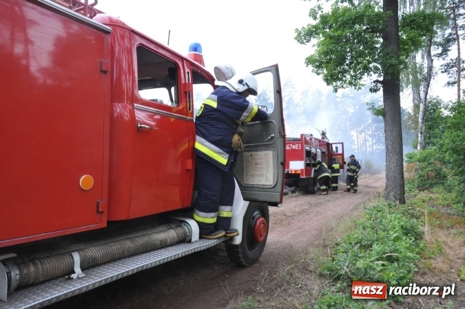 Zdjęcie w galerii na portalu naszraciborz.pl: W lasach wokół Nędzy grasuje podpalacz. Dziś doszło do kolejnego poważnego pożaru wiadomości z regionu