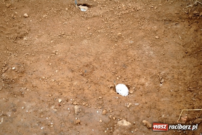 Zdjęcie w galerii na portalu naszraciborz.pl: Gmina Kietrz kolejny raz gości archeologów  wiadomości z regionu