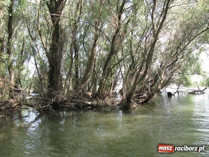 Zdjęcie w galerii na portalu naszraciborz.pl: Na motocyklach podróżują od kilku lat. W tym roku w dwa tygodnie pokonali 5 tysięcy kilometrów i odwiedzili kolejne państwa wiadomości z regionu