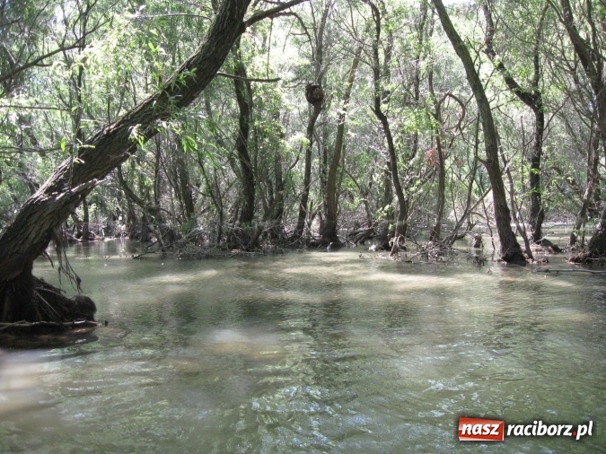 Zdjęcie w galerii na portalu naszraciborz.pl: Na motocyklach podróżują od kilku lat. W tym roku w dwa tygodnie pokonali 5 tysięcy kilometrów i odwiedzili kolejne państwa wiadomości z regionu