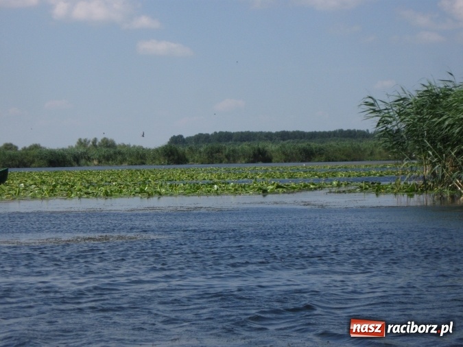 Zdjęcie w galerii na portalu naszraciborz.pl: Na motocyklach podróżują od kilku lat. W tym roku w dwa tygodnie pokonali 5 tysięcy kilometrów i odwiedzili kolejne państwa wiadomości z regionu