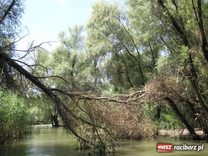 Zdjęcie w galerii na portalu naszraciborz.pl: Na motocyklach podróżują od kilku lat. W tym roku w dwa tygodnie pokonali 5 tysięcy kilometrów i odwiedzili kolejne państwa wiadomości z regionu