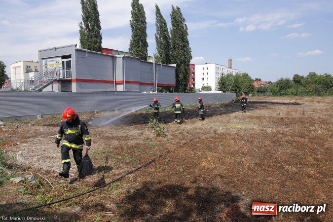 Zdjęcie w galerii na portalu naszraciborz.pl: Podpaleń i pożarów ciąg dalszy. Próba samobójcza - wczorajsze działania strażaków wiadomości z regionu