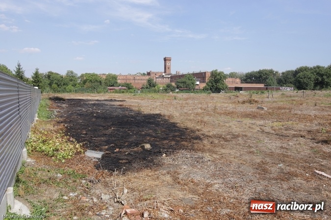 Zdjęcie w galerii na portalu naszraciborz.pl: Podpaleń i pożarów ciąg dalszy. Próba samobójcza - wczorajsze działania strażaków wiadomości z regionu