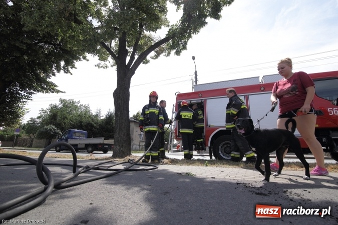 Zdjęcie w galerii na portalu naszraciborz.pl: Podpaleń i pożarów ciąg dalszy. Próba samobójcza - wczorajsze działania strażaków wiadomości z regionu