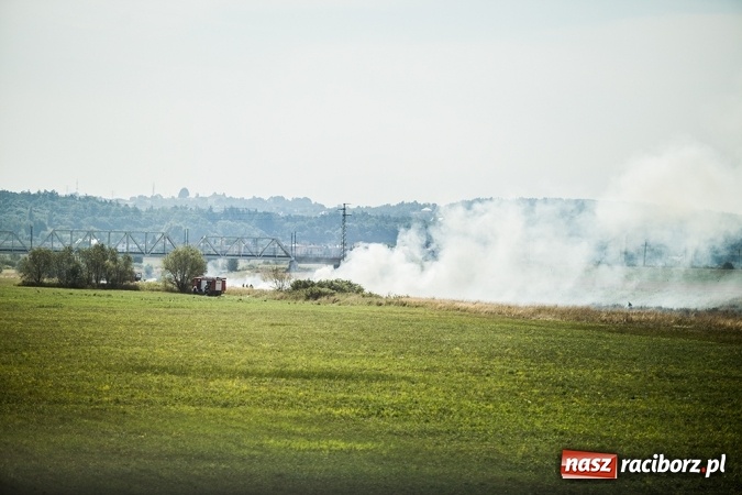 Zdjęcie w galerii na portalu naszraciborz.pl: Podpaleń i pożarów ciąg dalszy. Próba samobójcza - wczorajsze działania strażaków wiadomości z regionu