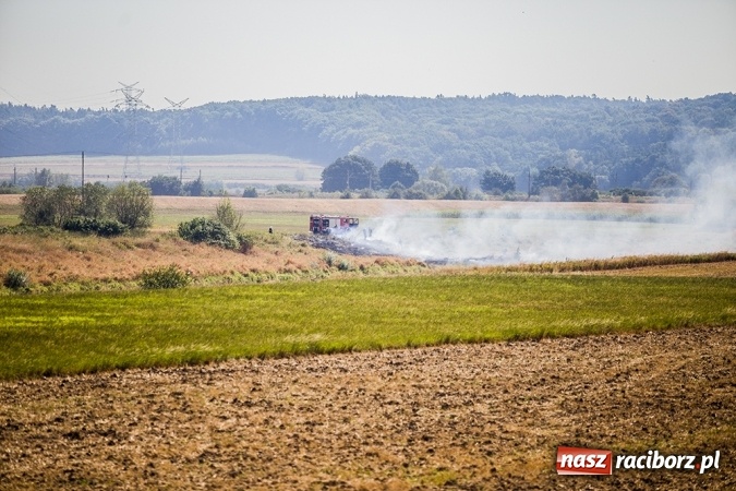 Zdjęcie w galerii na portalu naszraciborz.pl: Podpaleń i pożarów ciąg dalszy. Próba samobójcza - wczorajsze działania strażaków wiadomości z regionu