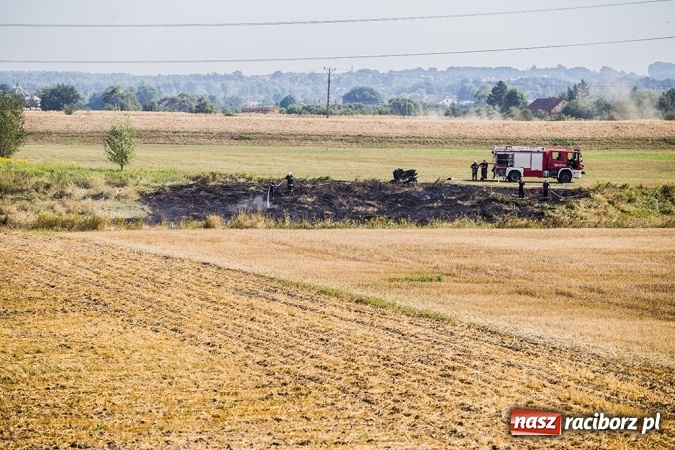 Zdjęcie w galerii na portalu naszraciborz.pl: Podpaleń i pożarów ciąg dalszy. Próba samobójcza - wczorajsze działania strażaków wiadomości z regionu