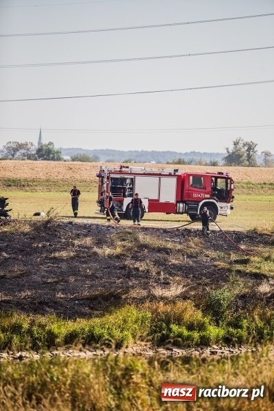 Zdjęcie w galerii na portalu naszraciborz.pl: Podpaleń i pożarów ciąg dalszy. Próba samobójcza - wczorajsze działania strażaków wiadomości z regionu