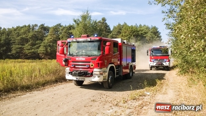 Zdjęcie w galerii na portalu naszraciborz.pl: Najpierw Babice, potem Raszczyce - podpalacz coraz bardziej groźny! wiadomości z regionu