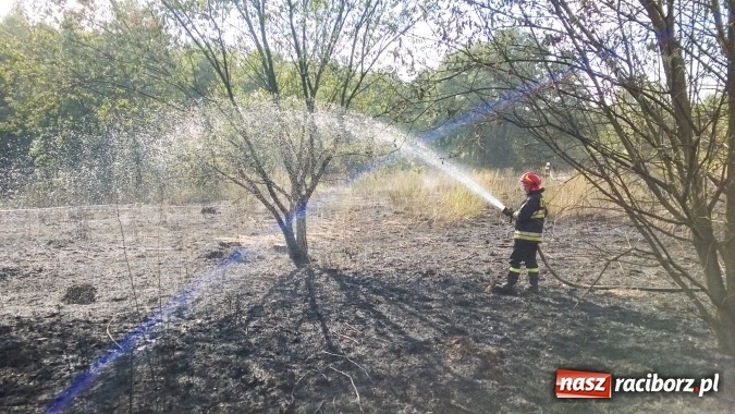 Zdjęcie w galerii na portalu naszraciborz.pl: Najpierw Babice, potem Raszczyce - podpalacz coraz bardziej groźny! wiadomości z regionu