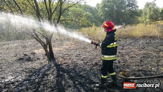 Zdjęcie w galerii na portalu naszraciborz.pl: Najpierw Babice, potem Raszczyce - podpalacz coraz bardziej groźny! wiadomości z regionu