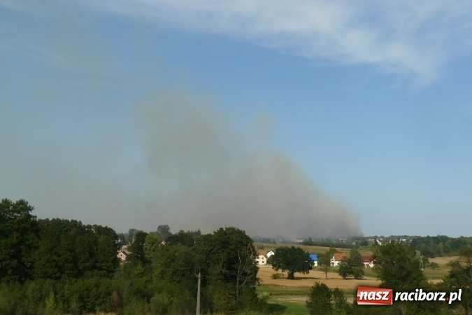 Zdjęcie w galerii na portalu naszraciborz.pl: Najpierw Babice, potem Raszczyce - podpalacz coraz bardziej groźny! wiadomości z regionu