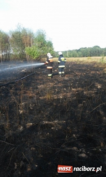 Zdjęcie w galerii na portalu naszraciborz.pl: Najpierw Babice, potem Raszczyce - podpalacz coraz bardziej groźny! wiadomości z regionu