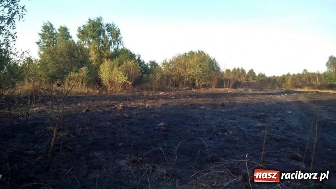 Zdjęcie w galerii na portalu naszraciborz.pl: Najpierw Babice, potem Raszczyce - podpalacz coraz bardziej groźny! wiadomości z regionu