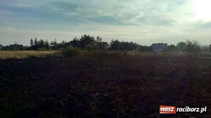Zdjęcie w galerii na portalu naszraciborz.pl: Najpierw Babice, potem Raszczyce - podpalacz coraz bardziej groźny! wiadomości z regionu