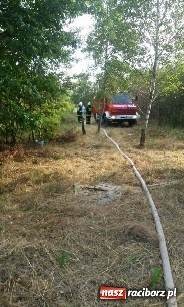 Zdjęcie w galerii na portalu naszraciborz.pl: Najpierw Babice, potem Raszczyce - podpalacz coraz bardziej groźny! wiadomości z regionu