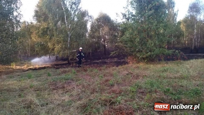 Zdjęcie w galerii na portalu naszraciborz.pl: Najpierw Babice, potem Raszczyce - podpalacz coraz bardziej groźny! wiadomości z regionu