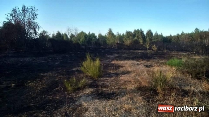Zdjęcie w galerii na portalu naszraciborz.pl: Najpierw Babice, potem Raszczyce - podpalacz coraz bardziej groźny! wiadomości z regionu