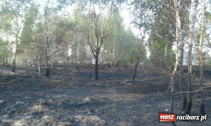 Zdjęcie w galerii na portalu naszraciborz.pl: Najpierw Babice, potem Raszczyce - podpalacz coraz bardziej groźny! wiadomości z regionu
