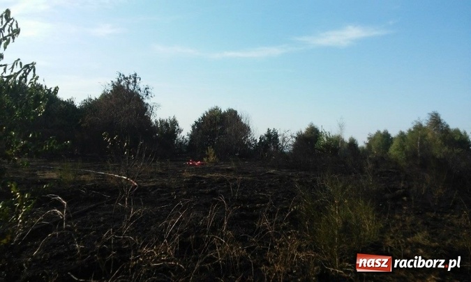 Zdjęcie w galerii na portalu naszraciborz.pl: Najpierw Babice, potem Raszczyce - podpalacz coraz bardziej groźny! wiadomości z regionu