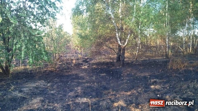 Zdjęcie w galerii na portalu naszraciborz.pl: Najpierw Babice, potem Raszczyce - podpalacz coraz bardziej groźny! wiadomości z regionu