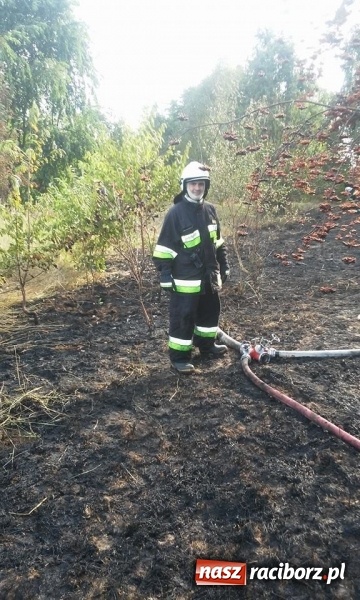 Zdjęcie w galerii na portalu naszraciborz.pl: Najpierw Babice, potem Raszczyce - podpalacz coraz bardziej groźny! wiadomości z regionu