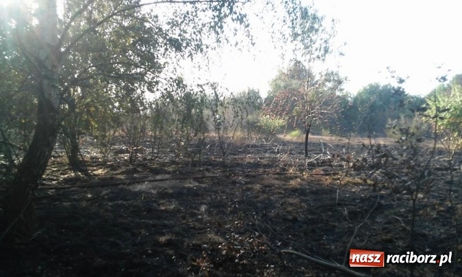 Zdjęcie w galerii na portalu naszraciborz.pl: Najpierw Babice, potem Raszczyce - podpalacz coraz bardziej groźny! wiadomości z regionu