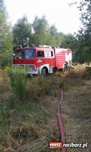 Zdjęcie w galerii na portalu naszraciborz.pl: Najpierw Babice, potem Raszczyce - podpalacz coraz bardziej groźny! wiadomości z regionu
