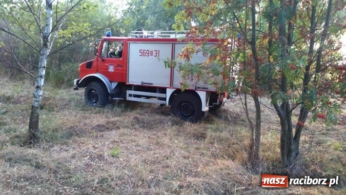 Zdjęcie w galerii na portalu naszraciborz.pl: Najpierw Babice, potem Raszczyce - podpalacz coraz bardziej groźny! wiadomości z regionu