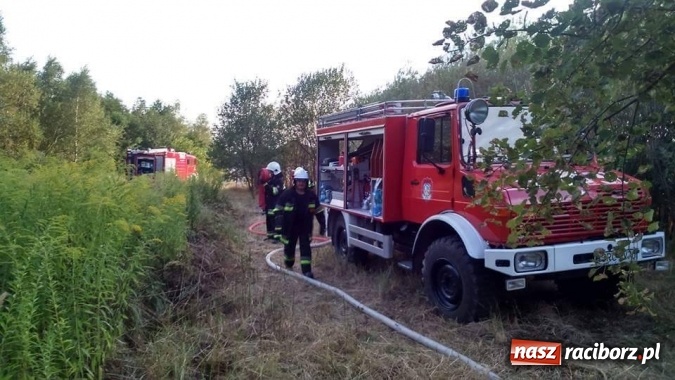 Zdjęcie w galerii na portalu naszraciborz.pl: Najpierw Babice, potem Raszczyce - podpalacz coraz bardziej groźny! wiadomości z regionu