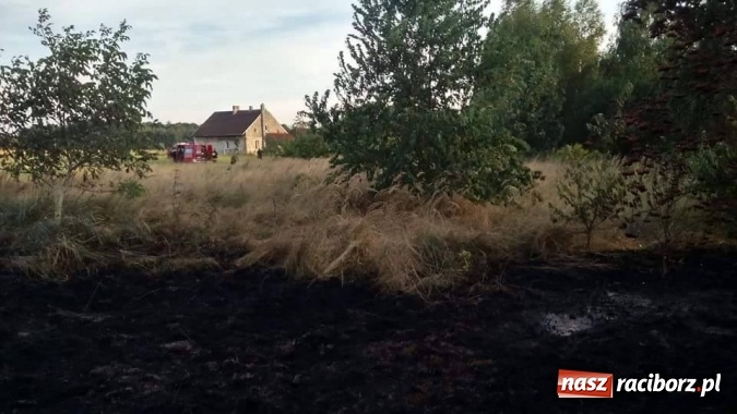 Zdjęcie w galerii na portalu naszraciborz.pl: Najpierw Babice, potem Raszczyce - podpalacz coraz bardziej groźny! wiadomości z regionu