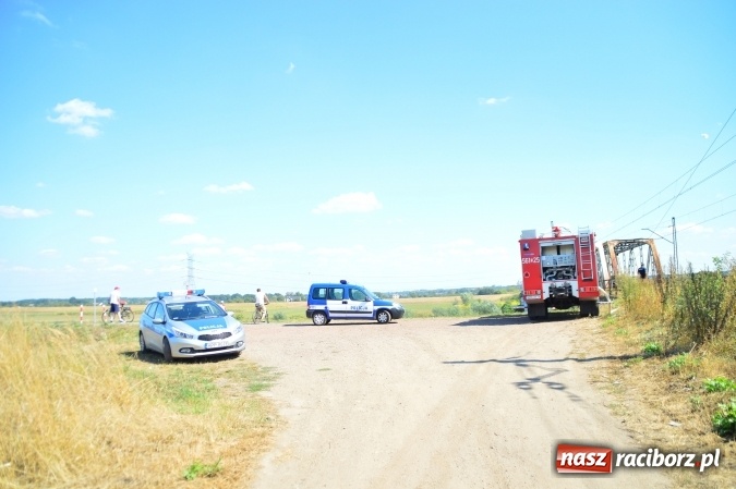 Zdjęcie w galerii na portalu naszraciborz.pl: Weekend strażaków - najwięcej wezwań do usuwania owadów. Oprócz tego m.in. pożary trawy i plamy oleju wiadomości z regionu