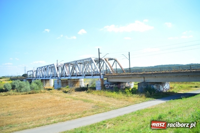 Zdjęcie w galerii na portalu naszraciborz.pl: Weekend strażaków - najwięcej wezwań do usuwania owadów. Oprócz tego m.in. pożary trawy i plamy oleju wiadomości z regionu
