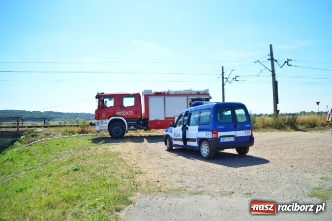 Zdjęcie w galerii na portalu naszraciborz.pl: Weekend strażaków - najwięcej wezwań do usuwania owadów. Oprócz tego m.in. pożary trawy i plamy oleju wiadomości z regionu