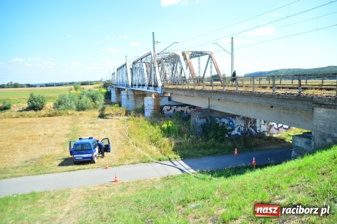 Zdjęcie w galerii na portalu naszraciborz.pl: Weekend strażaków - najwięcej wezwań do usuwania owadów. Oprócz tego m.in. pożary trawy i plamy oleju wiadomości z regionu