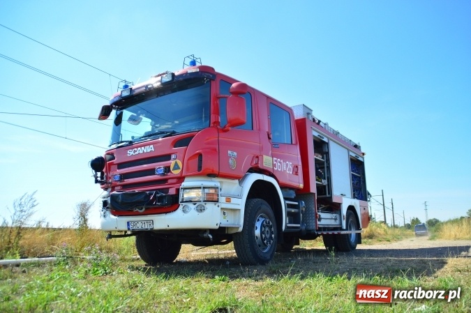 Zdjęcie w galerii na portalu naszraciborz.pl: Weekend strażaków - najwięcej wezwań do usuwania owadów. Oprócz tego m.in. pożary trawy i plamy oleju wiadomości z regionu