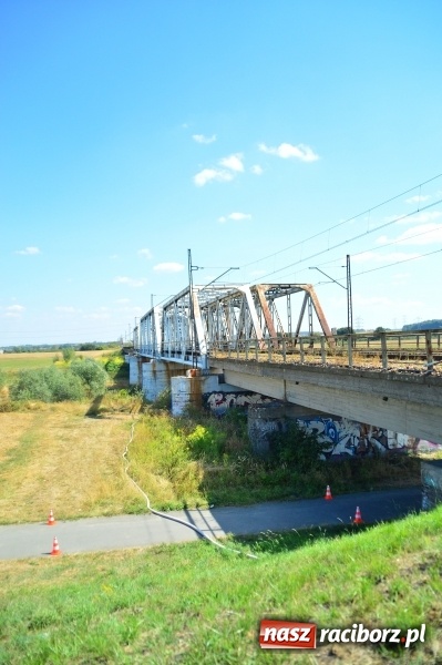 Zdjęcie w galerii na portalu naszraciborz.pl: Weekend strażaków - najwięcej wezwań do usuwania owadów. Oprócz tego m.in. pożary trawy i plamy oleju wiadomości z regionu