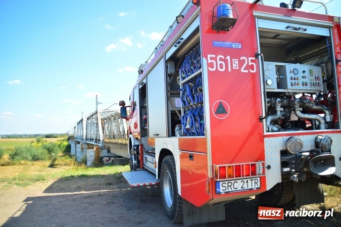 Zdjęcie w galerii na portalu naszraciborz.pl: Weekend strażaków - najwięcej wezwań do usuwania owadów. Oprócz tego m.in. pożary trawy i plamy oleju wiadomości z regionu