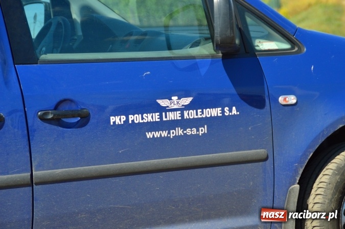 Zdjęcie w galerii na portalu naszraciborz.pl: Weekend strażaków - najwięcej wezwań do usuwania owadów. Oprócz tego m.in. pożary trawy i plamy oleju wiadomości z regionu